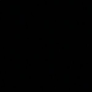 Meet your Posher, Dasia